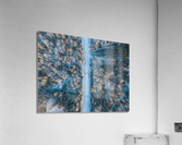 DJI 0404 Edit Acrylic Print