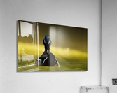 DSC04013 Edit Acrylic Print