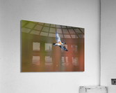 DSC01716 Edit Acrylic Print