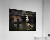 DSC07673 Edit 5 Acrylic Print