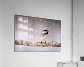 DSC00069 Edit Acrylic Print