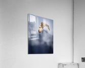 DSC02125 Edit 2 Acrylic Print