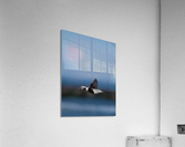 DSC03875 Acrylic Print