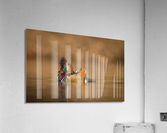 DSC08824 Edit 2 2 Acrylic Print