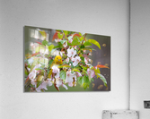 DSC00104 Edit Acrylic Print