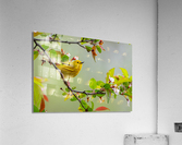 DSC09836 Edit Acrylic Print