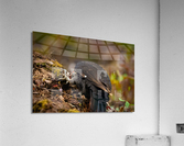 DSC02567 Edit Acrylic Print