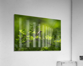 DSC01362 Edit 2 Acrylic Print