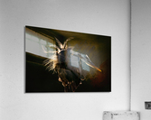 DSC00983 Edit Acrylic Print