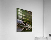 DSC03137 Edit Acrylic Print