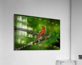 DSC09930 Edit 2 Acrylic Print