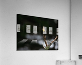 DSC04224 Edit 2 Acrylic Print