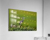 DSC09700 Edit Acrylic Print