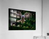 DSC07424 Edit Acrylic Print