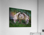 DSC07378 Edit 5 Acrylic Print