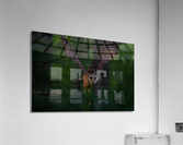DSC05410 Edit Acrylic Print