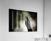 DSC05806 Edit Acrylic Print