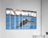 File 0001 Acrylic Print