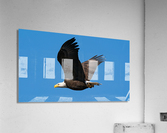 File 000 Acrylic Print
