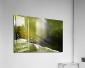 DSC06419 Edit Acrylic Print