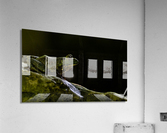DSC06475 Edit Acrylic Print