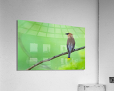 DSC04105 Edit Acrylic Print