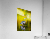 AC3Y9757 Edit Acrylic Print