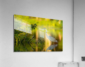 AC3Y9725 Edit 2 Acrylic Print
