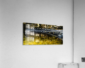 DSC00736 Edit 2 Acrylic Print