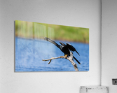 DSC00332 Edit Acrylic Print