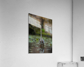 DSC06009 Edit Acrylic Print