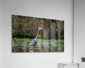 DSC05997 Edit Acrylic Print