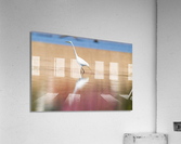 DSC02055 Edit Acrylic Print