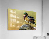 AC3Y3011 Edit Acrylic Print