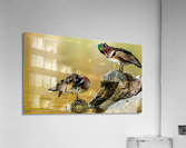 AC3Y3117 Edit Acrylic Print