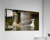AC3Y5627 Edit Acrylic Print