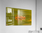AC3Y5742 Edit Acrylic Print