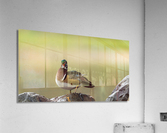 AC3Y3168 Edit Acrylic Print