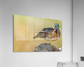AC3Y3002 Edit Acrylic Print