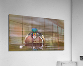 AC3Y4193 Edit Acrylic Print
