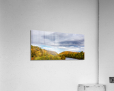BM4A6025 Edit 2 Acrylic Print