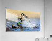 AC3Y6226 Edit Acrylic Print