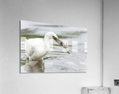  KM 0614 Acrylic Print