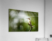  KM 0687 Edit 2 Acrylic Print