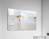  MG 3244 Acrylic Print