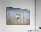  MG 3519 Acrylic Print
