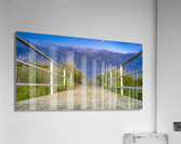 DSC08362 Edit Acrylic Print