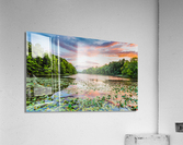 20140728  KM 0228 Edit Acrylic Print