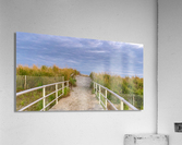 DSC08355 Edit Edit Acrylic Print