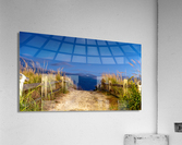 DSC08375 Edit Edit Acrylic Print